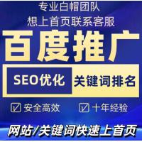 百度推广网站收录seo优化搜索引擎排名网络关键词链接推广快照